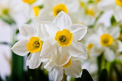 谷歌暗示Windows游戏将可以直接在Stadia上运行